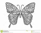 Vlinder Kleurplaat Volwassenen Papillon Farfalla Mariposa Boek Zentangle Motyl Kleurplaten Kleurend Vecteur Illustratie Adulti Vettore Farfalle Adultes Stockillustratie Mariposas Downloaden sketch template