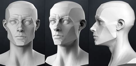 Planes Of The Head Male 3d Model Obj 1 Planes Of The