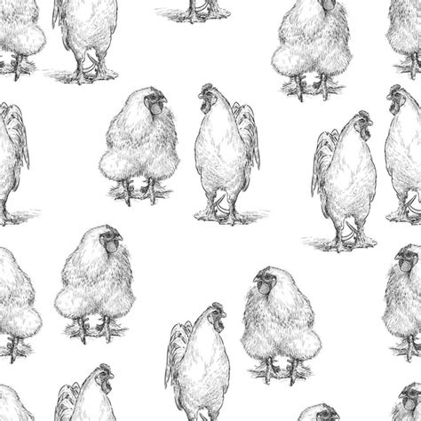 Cocks And Hens — Stock Vector © Alekseimakarov 47152801