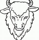 Coloring Buffalo Water Cape Getdrawings Bison Pages Printable Color Getcolorings sketch template