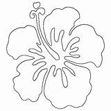 Hawaiian Tropical Luau Moana Hibiscus Hawaianas Garden Sketch Wickedbabesblog sketch template