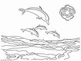 Dolphin Coloring Bottlenose Getcolorings sketch template