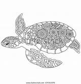Zentangle Tortoise sketch template