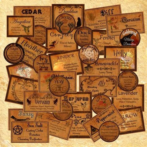 37 witchcraft apothecary labels 1 herbs and their
