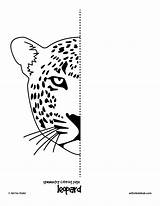Symmetry Worksheets Drawing Kids Worksheet Cat Half Coloring Grid Pages Hub Easy Face Tiger Line Leopard School Cheetah Sheets Lessons sketch template