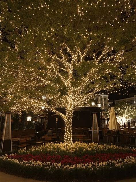 inspiring christmas outdoor lights decoration ideas outdoor tree lighting outdoor backyard