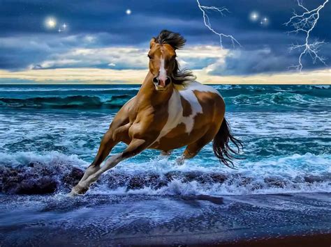high resolution wallpaper amazing horse wallpapers