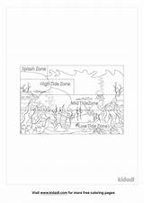  sketch template