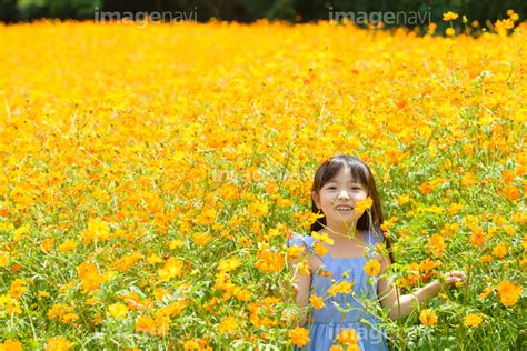 花の画像について エレガント女の子 花畑