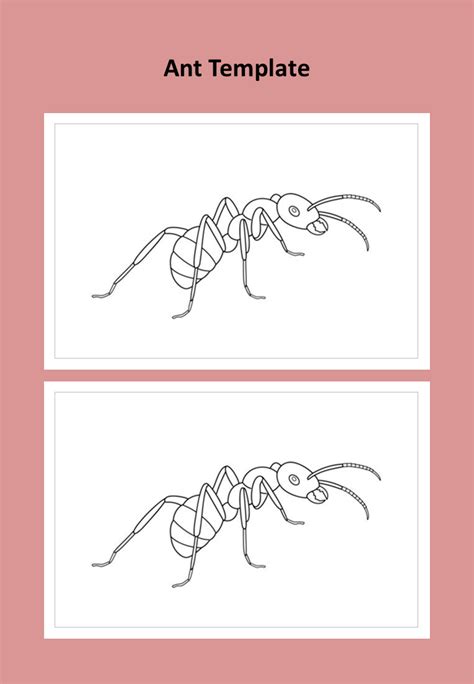 ant template