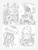 Sea Coloring Under Pages Drawing Ecosystem Ocean Marine Invertebrates Drawings Getcolorings Designlooter Getdrawings Paintingvalley 05kb sketch template