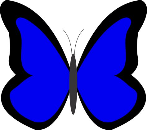 butterfly  color colour blue clipart panda  clipart images