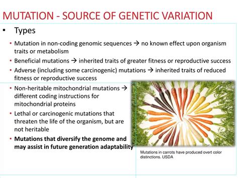 Ppt Day 6 Sources Of Genetic Variation Powerpoint