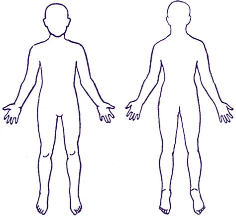 outline drawing  human body clipart