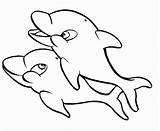 Dolphin Printable Coloring Pages Clipart Kids Library sketch template