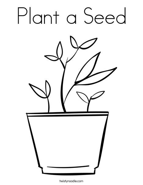 plant  seed coloring page twisty noodle