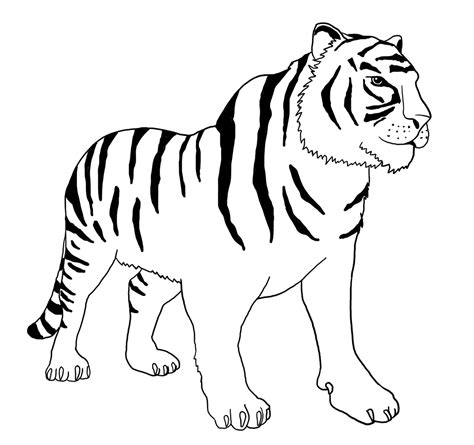 coloring page  tiger  svg cut file