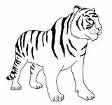 Bengal Mike sketch template