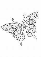 Farfalle Kupu Mewarnai Colorare Farfalla Disegni Sagoma Sagome Semplici Hewan Ritagliare Anak Fiore Careason Abele sketch template