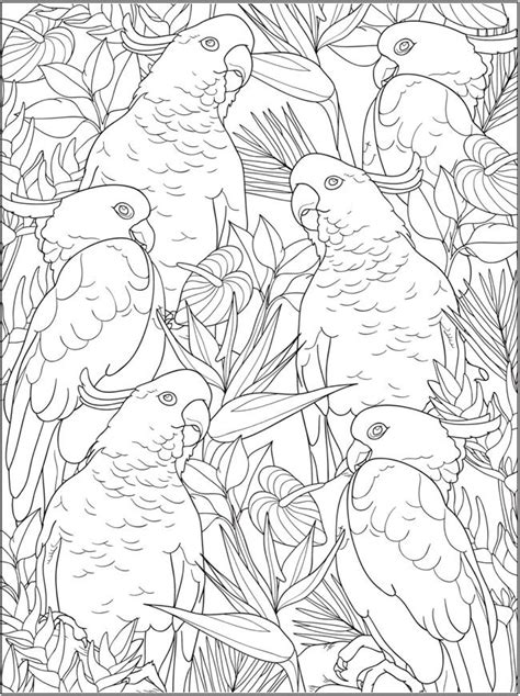 dover publications animal coloring pages coloring books
