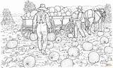 Coloring Harvest Pages Farmers Field Pumpkins Gather Printable Drawing Pumpkin Color Farmer Houses Harvesting Da Fields sketch template