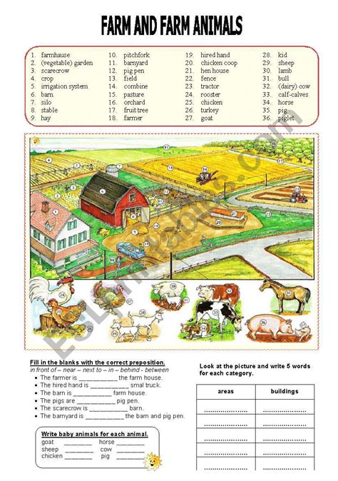 farm  farm animals prepositions  place esl worksheet  miameto