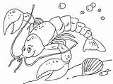 Lobster Coloring Pages Color Sea Lobsters Fish Seaside sketch template