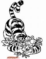 Tigger Coloring Pages Print Getcolorings sketch template