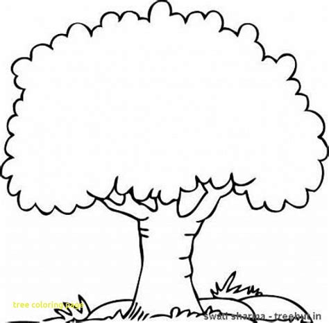 tree coloring page  color  state pages  tree coloring page