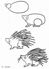 Porcupine Coloring Pages Drawing Bestcoloringpagesforkids Draw Sheet Kids Easy sketch template