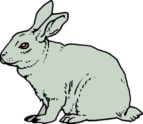 cartoon rabbit clipartsco
