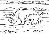 Nashorn Malvorlage Wildtiere Malvorlagen sketch template