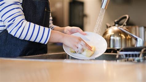 shouldnt wash dishes  hand fox news