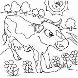 Coloring Pages Flower Dairy Cow Garden Netart Color Print sketch template