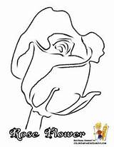 Flowers Coloring Pages Embroidery Rose Pretty Flower Scrapbook Colorful Elegant Rare Journal Sheet Clip Drawing Wedding sketch template