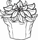 Poinsettia Coloring Printable Kids Click sketch template