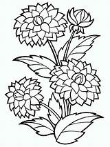 Flower Zinnia Coloring Pages Getcolorings Printable Bushy Dahlia Color Colouring sketch template