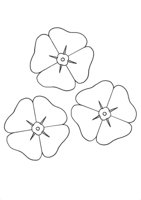 poppy coloring pages  jpg  premium templates