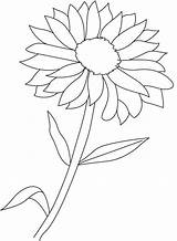 Plant Flowering Coloring Pages Kids sketch template