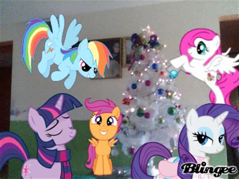 pony christmas picture  blingeecom