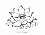 Lotus Coloring Flower Drawing Pages Water Blooming Line Flowers Printable Color Mandala Adult Clipart Cliparts Print Colour Tattoo Getdrawings Getcolorings sketch template