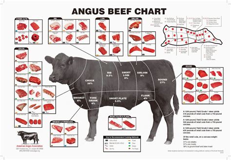 american cowboy chronicles cattle diagrams retail beef cuts chart