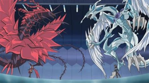 dragons about to duel the black rose vs the shooting star black rose black rose dragon