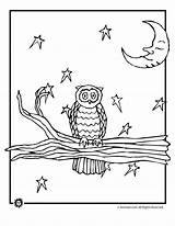 Coloring Night Nocturnal Animaljr Owls sketch template