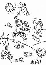Spongebob Jellyfish Kolorowanki Patrick Coloriage Esponja Mewarnai Dzieci Bajka Coloring Getcolorings Sponge Podstrony sketch template