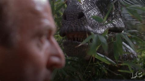 Jurassic Park  By Ifc Find And Share On Giphy