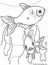 Coloring Fish Aquarium Printable Sheet Drawing Pages Clipart Oscar Realistic Getdrawings sketch template