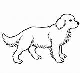 Golden Retriever Coloring Puppy Printable Pages Categories sketch template