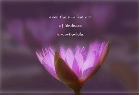 small acts  kindness quotes quotesgram