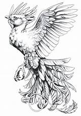 Phoenix Tattoos Tattoo Drawings Bird Sketches Coloring Designs Pages Fenix Choose Board Cool Phönix sketch template